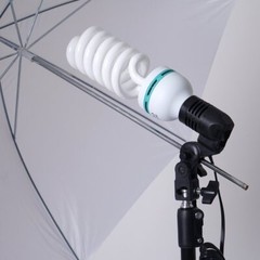 Daylight Umbrella Professional Photo Lighting Kit & Softbox with Backdrops SALE