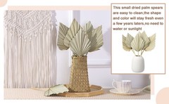 6 Pcs Small Boho Dried Palm Fans,Natural Dried Palm Spears Leaves with