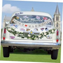 17 Pcs Just Married Car Decorations Set with 14 Wedding Car Magnets Just