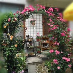 Heavy Duty Metal Garden Arch Rose Archway Pergola Arbour Climbing Plants Trellis