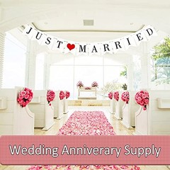 Just Married Car Decorations, Just Married Sign Banner Car Decorations Fit for