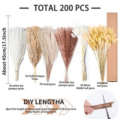200PCS Natural Dried Pampas Grass Decor – 17″ Fluffy Pampas Grass Bouquet – B…