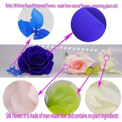 Preserved Real Roses with Colorful Mood Light Wishing Bottle, Eternal Roseᦁ