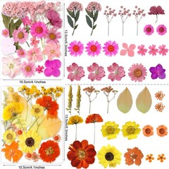 221PCS Real Dried Pred Flowers for Resin Craft, Dry Pring