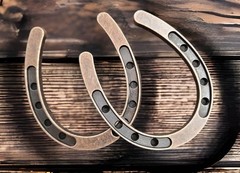 HORSESHOES SET OF 2- Western wedding party favor, Cowboy Wedding Decor, Crafts,