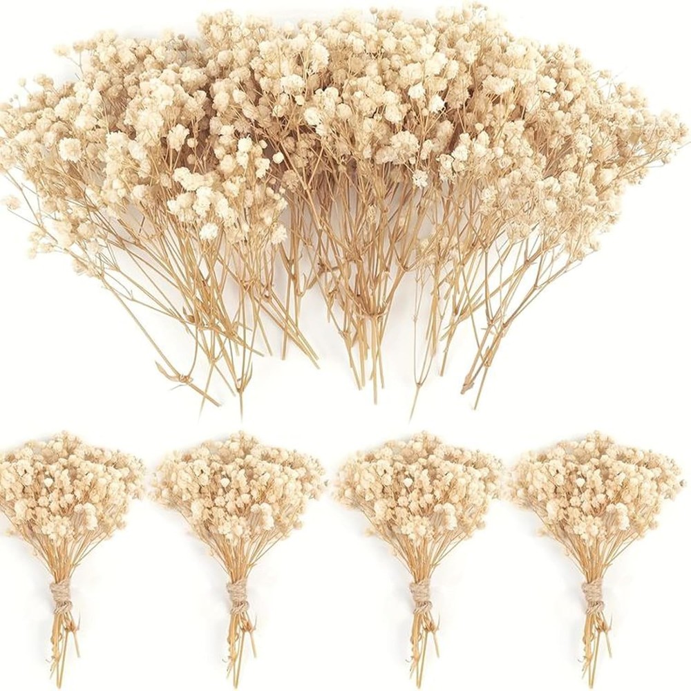 120 Pcs Mini Dried Baby Breath Flowers Gypsophila Ivory Flowers Dried