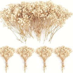 120 Pcs Mini Dried Baby Breath Flowers Gypsophila Ivory Flowers Dried
