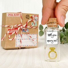 Will You Marry Me Romantic and Unique Marriage Proposal Gift Idea Tiny Ring