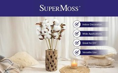 Cotton Stems Proflora All Natural Dried 3 Ball – 18pcs, 14.5”
