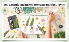 200 Pcs Pred Dried Flowers for Resin Art mi Majus Natural Pred