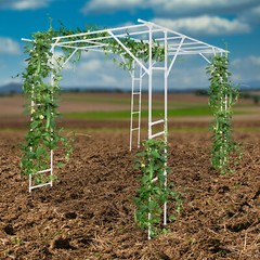 Plant Climbing Stand Outdoor Plant Stand Plant Climbing Display Rack, White