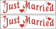 Just Married Vehicle Car Magnets Signs Wedding Bridal Party Magnetics Gift