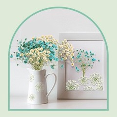 200 Pcs Pred Dried Flowers for Resin Art mi Majus Natural Pred