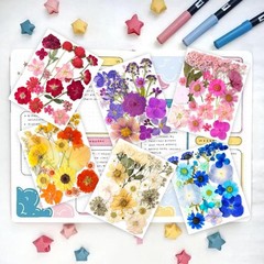 221PCS Real Dried Pred Flowers for Resin Craft, Dry Pring