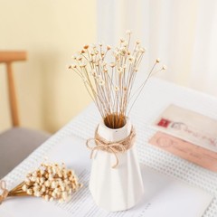 200 Pcs Natural Dry Flowers White Mini Dried Star Daisy Floral