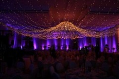 weddings reception or ceremony lights 2400 warm white