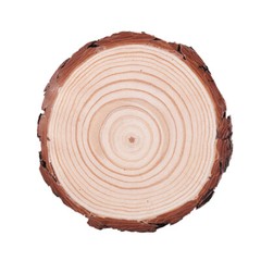 5X DIY Wooden Log Slices Round Discs 9-14cm Craft Wedding Decor Coasters Crafts