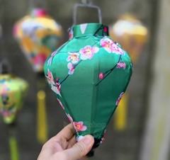 Set 8 Vietnam Silk Lanterns 22cm for Wedding Party, Outdoor Garden, Patio Decor