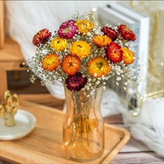 Dried Flowers Bouquet Natural Daisy – 40 PCS Multicolor Daisies Dried