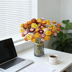 20 PCS Natural Dried Daisy Flowers Bouquet – Multicolor Dried Daisy