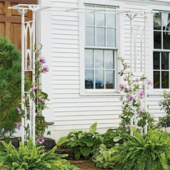 Wedding Arch Garden Arbor Metal Durable Iron for Climbing Plant Outdoor Ceremony