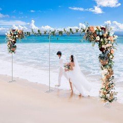 6x3m Wedding Backdrop Stand Pipe Kit carbon steel Curtain Frame Baby Shower