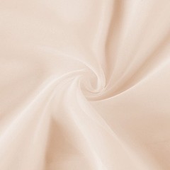 NUDE 5ft x 14ft Premium Chiffon SHEER CURTAIN Window Drape Panel Party Events