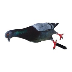 Note Outdoor Space Package Content Outdoor Package Content Garden Pigeon