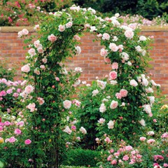 Heavy Duty Metal Garden Arch Rose Archway Pergola Arbour Climbing Plants Trellis