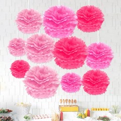 12 PCS Tissue Flowers Decorations Paper Pompoms Balls Floral Decorative