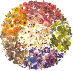 Maxleaf Pred Flower Stiers Set, 270PCS Dried Flowers Waterproof