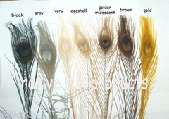 50 Peacock Feathers w/ Eyes 30-35″ L Bleached & dyed Your choice of 21 colors