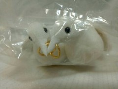 White Flocked Love Birds*Wedding Rings*Cake Topper*Real Feathers*8″ long