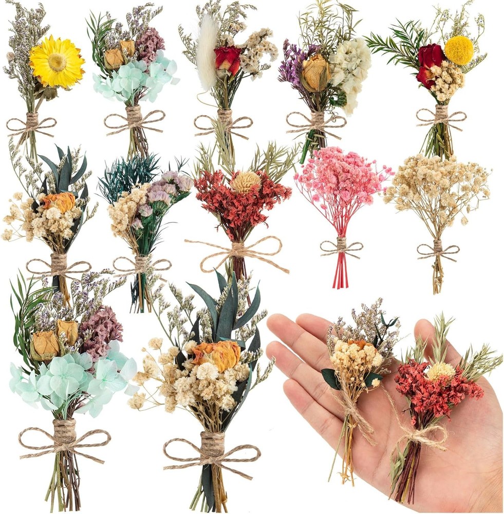 10 Pcs Dried Flowers for Crafts, Mini Dried Flowers Bouquet Bulk for Vase