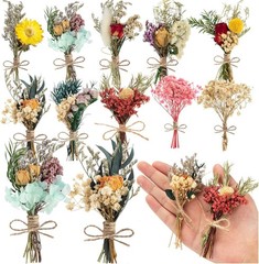 10 Pcs Dried Flowers for Crafts, Mini Dried Flowers Bouquet Bulk for Vase