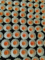 Paper flower handmade 3D handcraft wedding party venue decoration 50 pieces