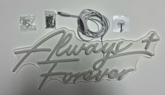 Always And Forever neon Sign Wedding Decor Plug In USB Dimmable Hanging Or Mount