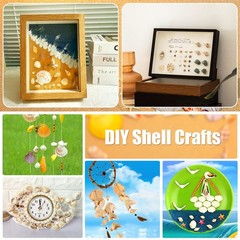 Mixed Sea Shells, 100+ Pcs Beach Seashells Starfish, Various Sizes Ocean Seas…