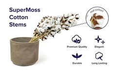 Cotton Stems Proflora All Natural Dried 3 Ball – 18pcs, 14.5”