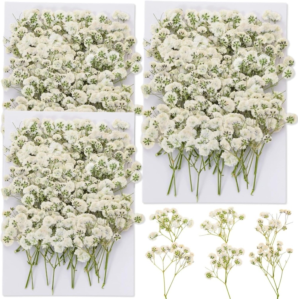 90Pcs Mini Dried Pred Baby’s Breath Flowers Bulk – Natural Flat Real