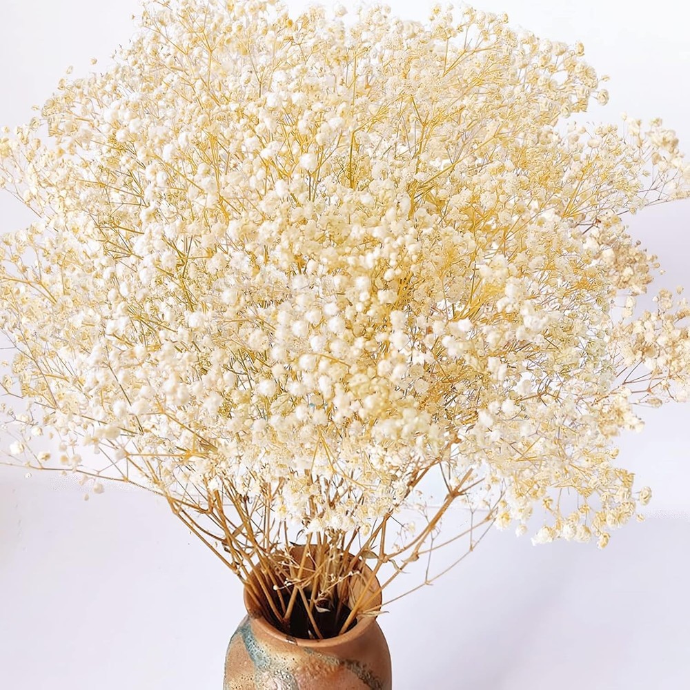 4000+ Dried Babys Breath Flowers Bulk – 17.2″ Ivory White Dried Flowers