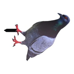 Note Outdoor Space Package Content Outdoor Package Content Garden Pigeon