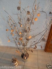 6 wooden tags from greek olive branch or other – wedding decoration -wood slice