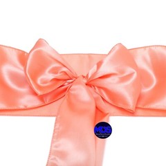 100 PEACH Satin Chair Sashes Bows Wedding Party Banquet Events DIY Decoration