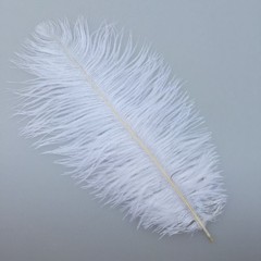 20pcs Natural 1012inch 2530cm Ostrich Feather Feathers Feather for Wedding Centerpieces…