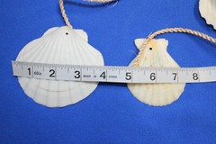 Seaside Wedding Seashell Table Runners Garland Large Long Size, 68″ +, G-89