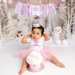 Winter Onederland High Chair Tutu-pink Onederland High Chair Banner, Garland,…