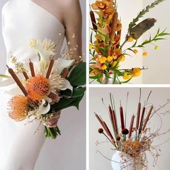 Natural Dried Cattail Flowers, 20 PCS Assorted Cattails for DIY Rustic
