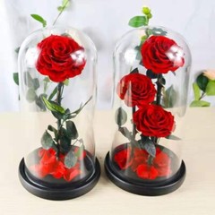 Eternal Rose in Glass Dome – Valentine’s Day Gift