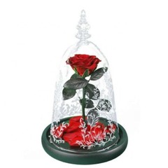 Eternal Rose in Glass Dome – Valentine’s Day Gift